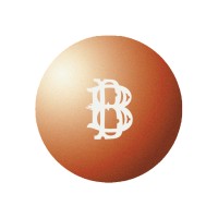 Burning Bar logo - Similar company to Members