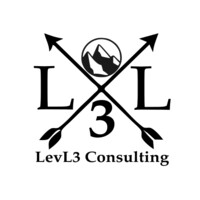 LevL3 Consulting logo - Similar company to The Wounded Healer Project