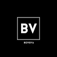 BizVidya logo - Similar company to Grey Platforms