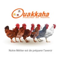 Groupe Ouakkaha logo - Similar company to Gite Souss