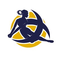 Bordeaux Mérignac Volley - Les Burdis logo - Similar company to Bordeaux 3X3