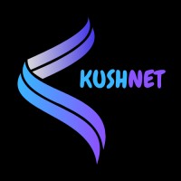 Kushnet logo - Similar company to Flux Devs