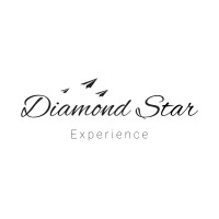 Diamond Star Experience logo - Similar company to Diamond Experience Co.