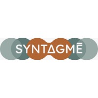 SYNTAGMÉ SPA logo - Similar company to Grupo Stt Chile