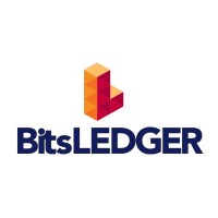 BITSLEDGER logo - Similar company to Tinqbit