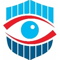 Cyberonyx (SDVOSB, MBE) logo - Similar company to Bigdataaiml - Mbe, Wbe Certified