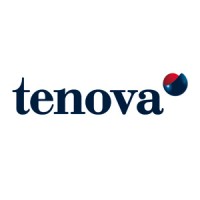 Tenova logo - Similar company to Danieli Group