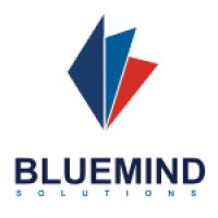 Bluemind Solutions Private Limited logo - Similar company to Bluemind