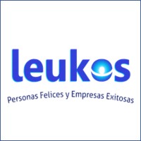 Leukos Consulting logo - Similar company to Maven Cto