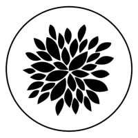 Soul Shape Fitness