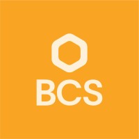 Bespoke Clinical Services logo - Similar company to The Pharmacist Network