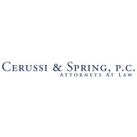 Cerussi & Spring, P.C. logo - Similar company to Rende, Ryan & Downes, Llp