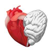 The Humanist PT logo - Similar company to Pure Pt Supply