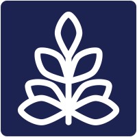 Lupine Studios logo - Similar company to Ideabase