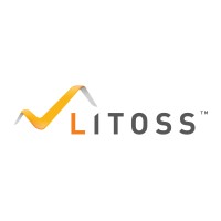 Litoss Microciment logo - Similar company to Microcimento 4Udecor