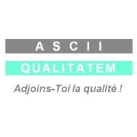 ASCII QUALITATEM logo - Similar company to Bcs Certification