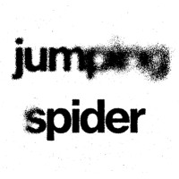 Jumping Spider Productions OHG logo - Similar company to Jumping Spider Llc