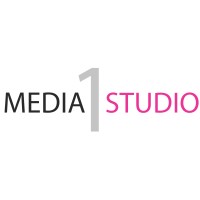 1mediaStudio logo - Similar company to Ianalyst.Com