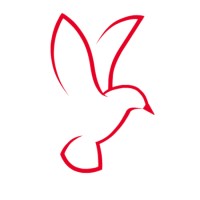 Skypapi Aerial Services (Sas)