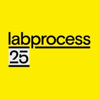 Labprocess logo - Similar company to Afora,S.A.