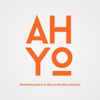 Alineación Humana y Organizacional logo - Similar company to Mcber Consulting Group