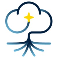 Silver Tree Consulting & Services logo - Similar company to Tranquilla Ai