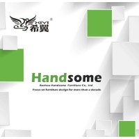 Bazhou Handsome Furniture Co.,Ltd