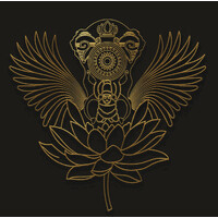 YOGI INDIA logo - Similar company to Nutoras