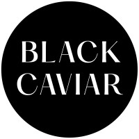 Black Caviar Designs logo - Similar company to Medievo (Media Evolution)