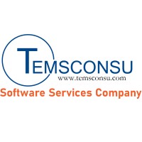 TEMSCONSU logo - Similar company to Browcode