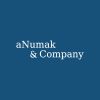 aNumak & Company ® logo - Similar company to Siontek