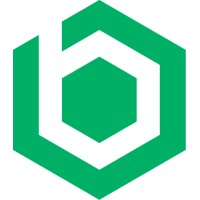 Brinqa logo - Similar company to Rivial Data Security