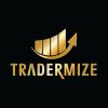 Tradermize logo - Similar company to Digi It Solution