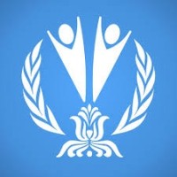 Youth Delegate of Hungary to the United Nations logo - Similar company to Idsa - International Diplomatic Student Association