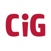 Community Insights Group logo - Similar company to Social Practice Forum
