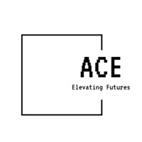 ACE Consultancy Services logo - Similar company to Ace Consultancy Services