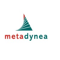 Metadynea Llc (Russia)