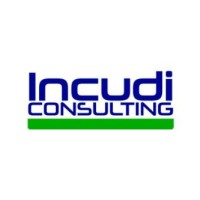 INCUDI CONSULTING logo - Similar company to Ingeniería Consultoría MEJORA