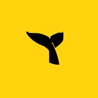 Import & Export Solutions logo - Similar company to Mn Trading