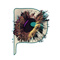PANORAMICS - A Vision logo - Similar company to Labatt Brain Tumour Research Centre