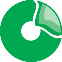 Through The Branches Information Development Group Ltd. logo - Similar company to Testani Consulting