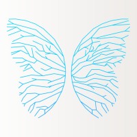 Fifium logo - Similar company to Apps Captain