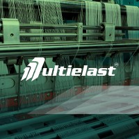 Multielast SA de CV logo - Similar company to Grupo Serrano