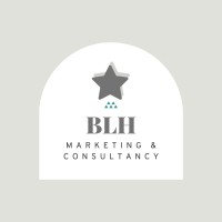 BLH Marketing & Consultancy logo - Similar company to Blue Lion Training Academy