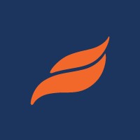 Insignia Display Graphics logo - Similar company to Jetpack