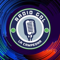 Radio GOL 92.1 FM logo - Similar company to Flesz