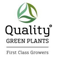 Quality Green Plants - First Class Growers logo - Similar company to Studievereniging Facilitas