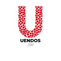 UENDOS Sul logo - Similar company to Instrumentação Científica Assistec