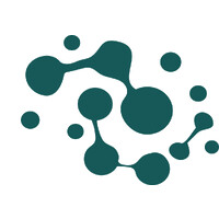 Neurocraft Leadership Solutions logo - Similar company to Central Limit Solutions