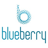 Blueberry logo - Similar company to Dity Lab S.R.L.